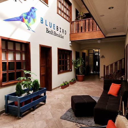 Blue Bird Bed And Breakfast Cuenca Exterior foto