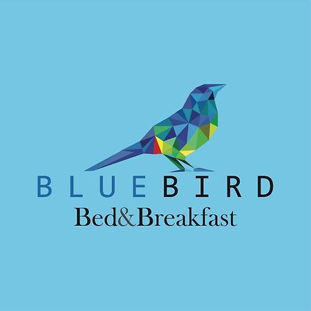 Blue Bird Bed And Breakfast Cuenca Exterior foto