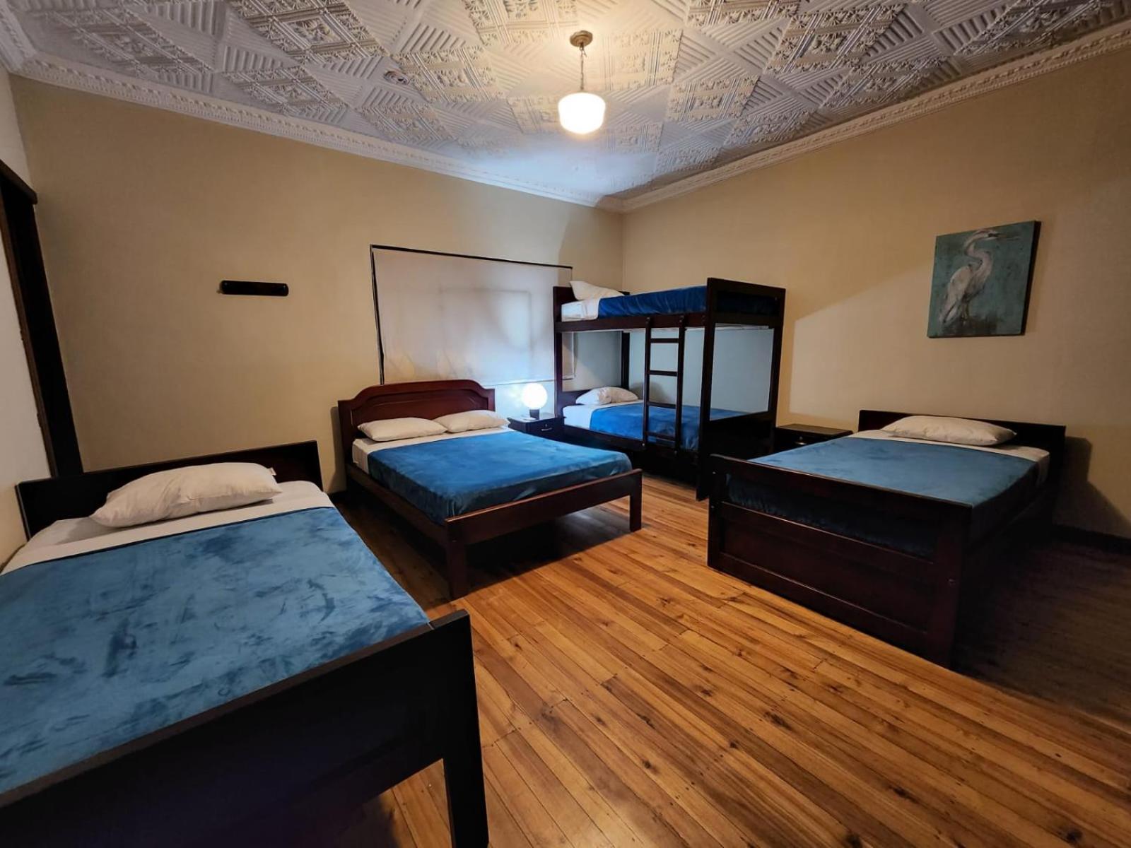 Blue Bird Bed And Breakfast Cuenca Exterior foto