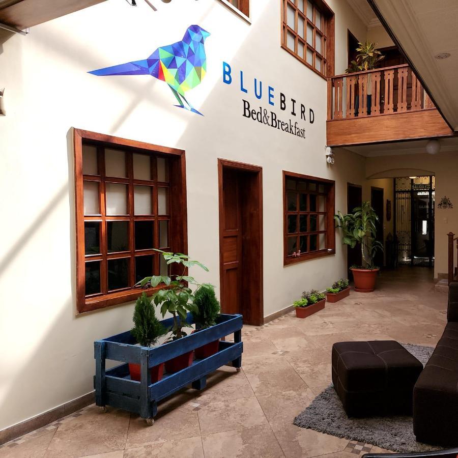 Blue Bird Bed And Breakfast Cuenca Exterior foto