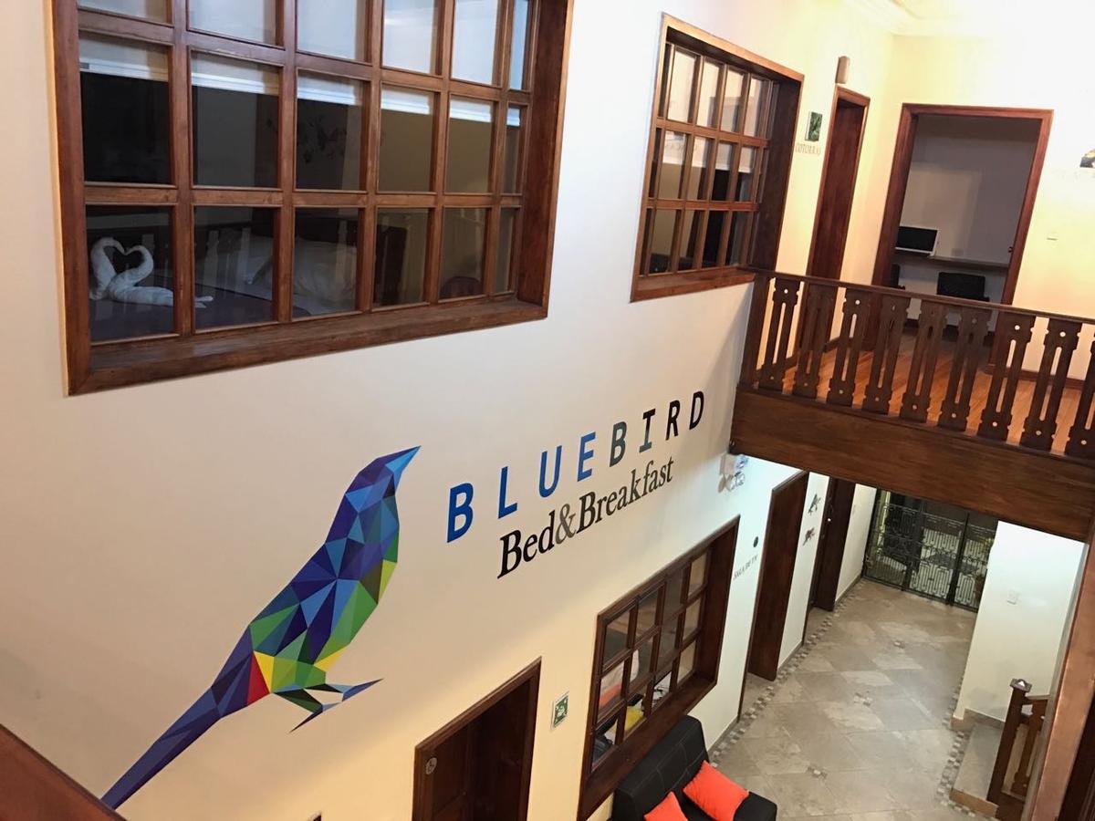 Blue Bird Bed And Breakfast Cuenca Exterior foto