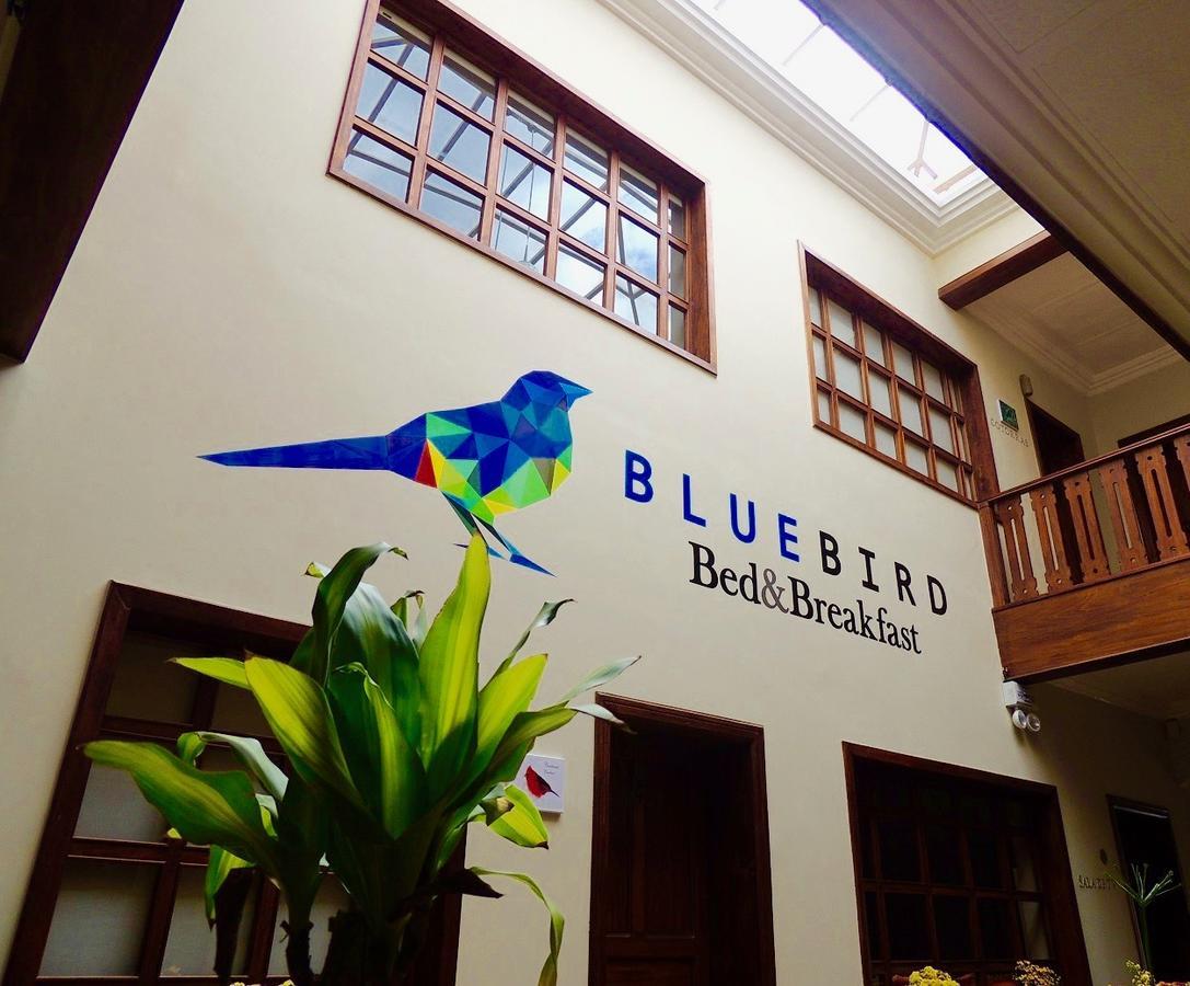Blue Bird Bed And Breakfast Cuenca Exterior foto