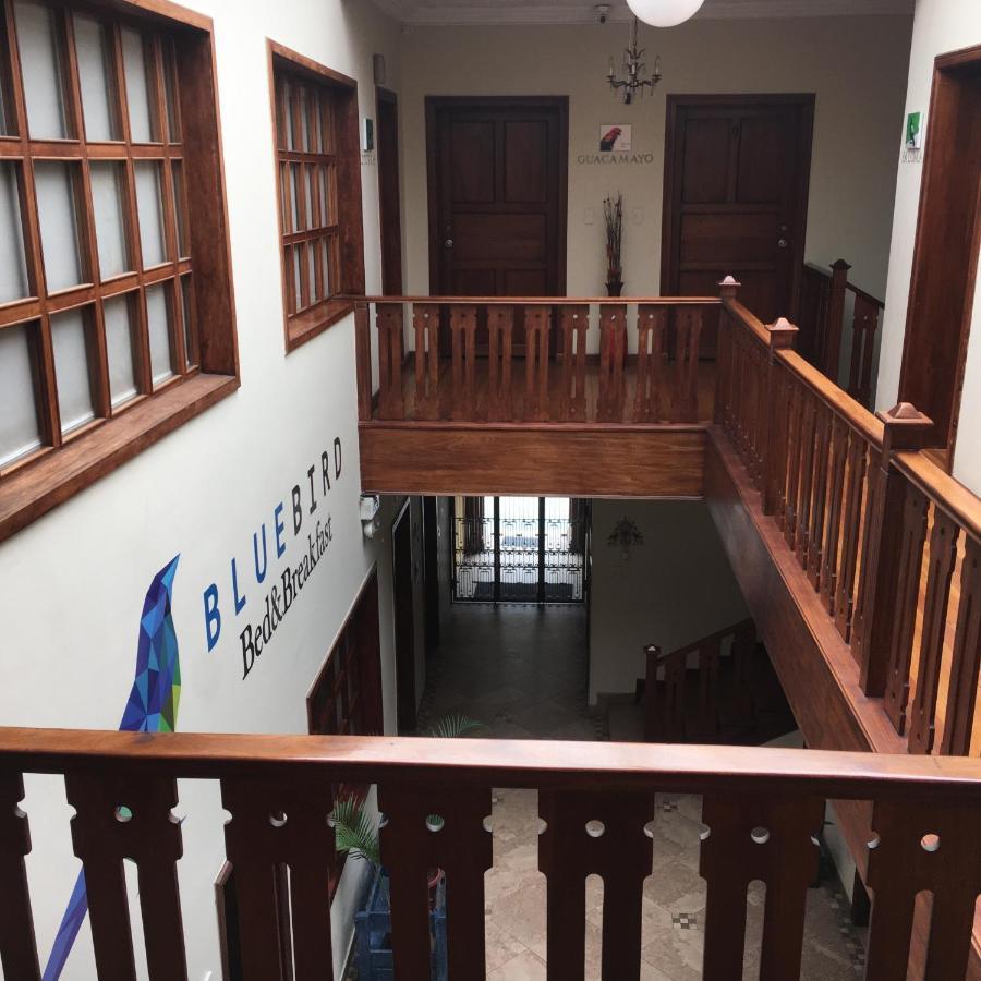 Blue Bird Bed And Breakfast Cuenca Exterior foto