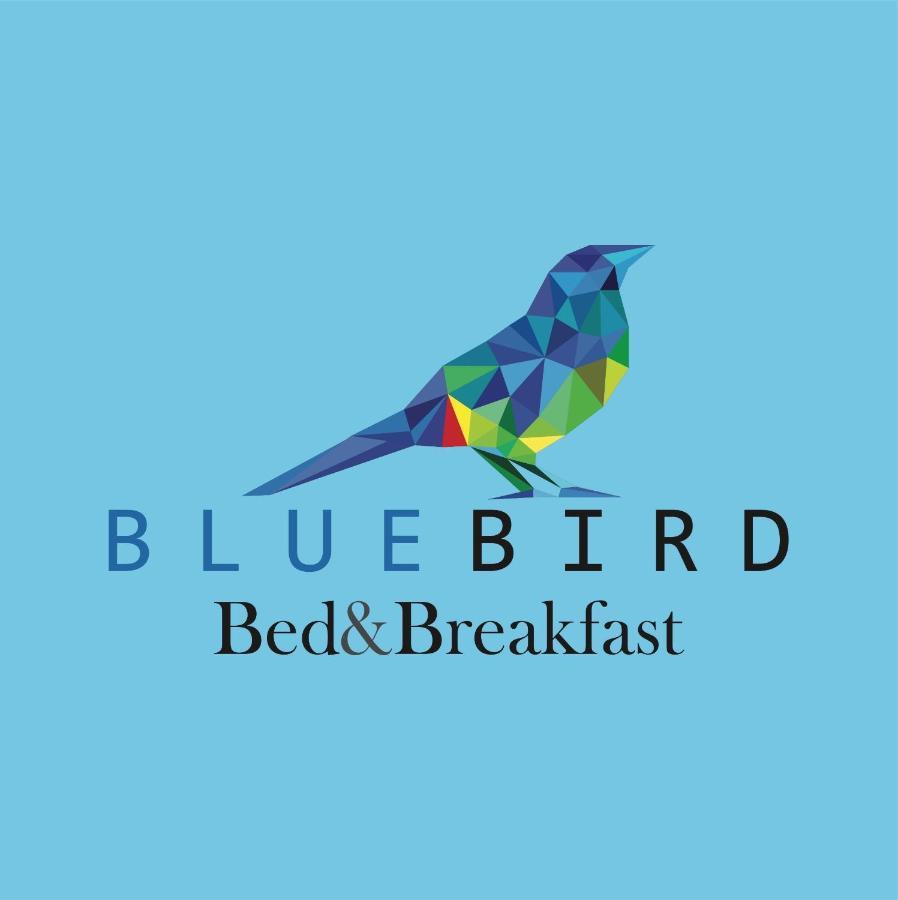 Blue Bird Bed And Breakfast Cuenca Exterior foto